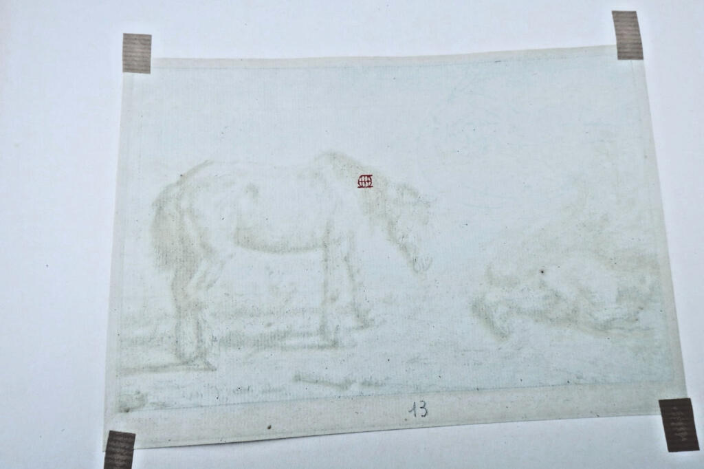 Gravures originales de chevaux sur cuivre XV et XVII par Paulus Potter, Brescia