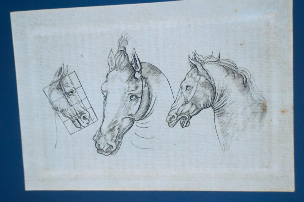 Cheval gravures originales sur cuivre XVè & XVIIè Paülus Potter, Brescia