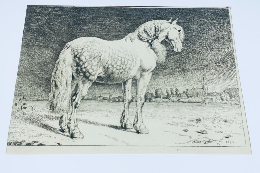 Cheval gravures originales sur cuivre XVè & XVIIè Paülus Potter, Brescia