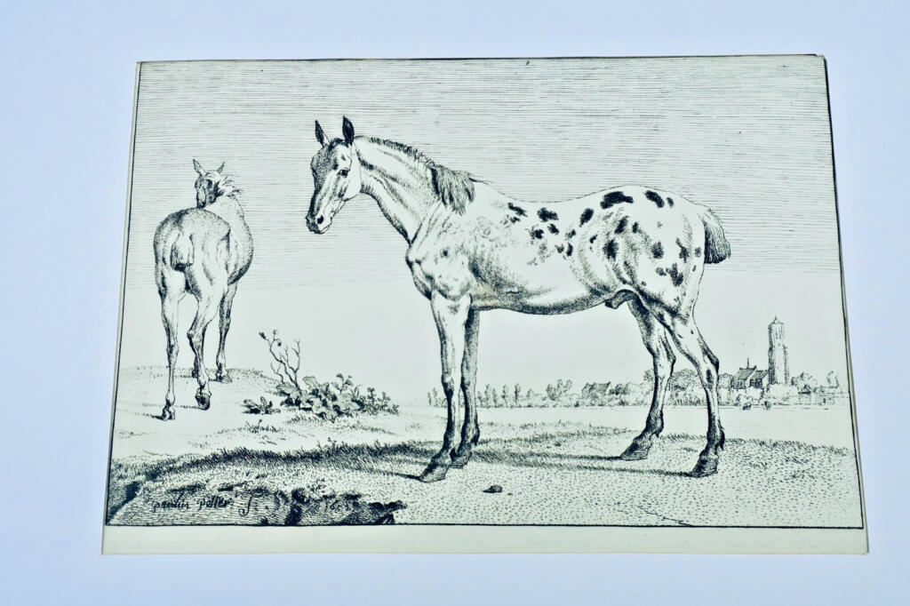 Gravures originales de chevaux sur cuivre XV et XVII par Paulus Potter, Brescia