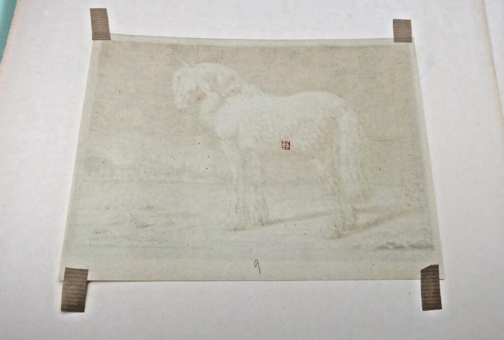 Gravures originales de chevaux sur cuivre XV et XVII par Paulus Potter, Brescia