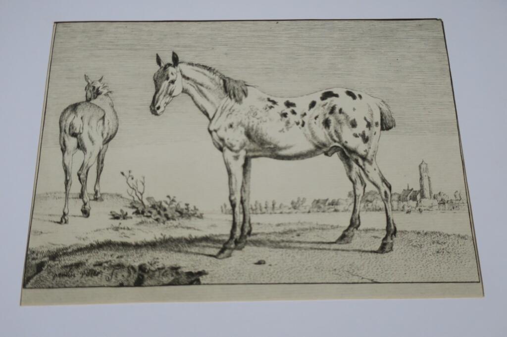 Cheval gravures originales sur cuivre XVè & XVIIè Paülus Potter, Brescia