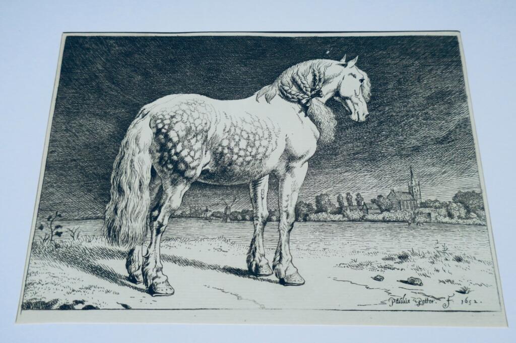 Cheval gravures originales sur cuivre XVè & XVIIè Paülus Potter, Brescia