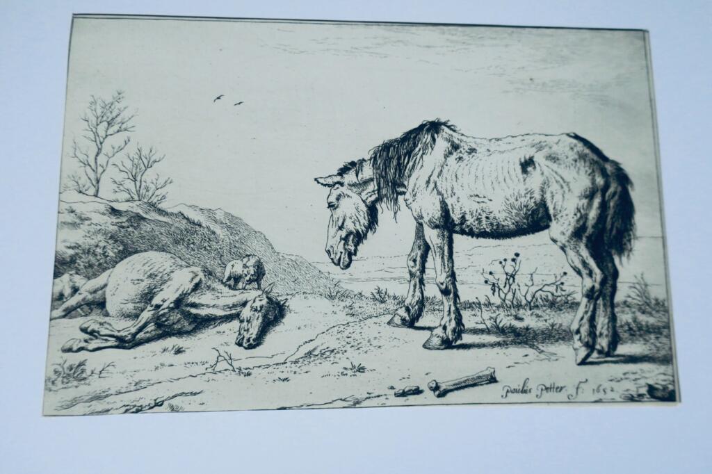 Cheval gravures originales sur cuivre XVè & XVIIè Paülus Potter, Brescia