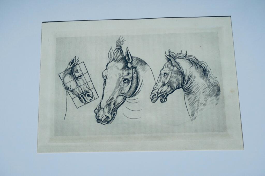 Cheval gravures originales sur cuivre XVè & XVIIè Paülus Potter, Brescia