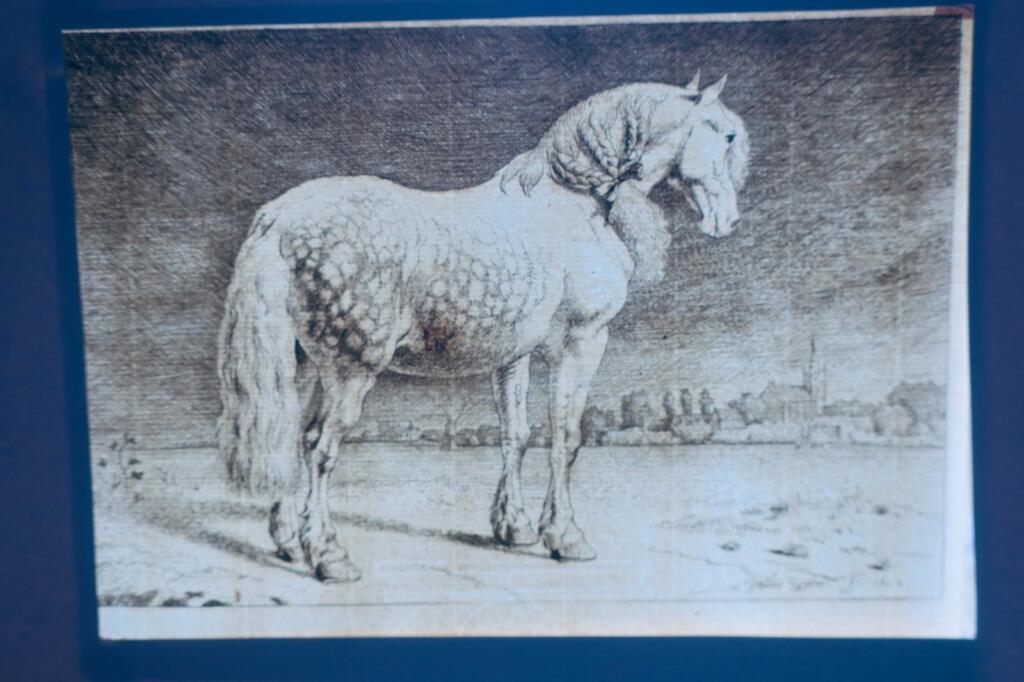 Cheval gravures originales sur cuivre XVè & XVIIè Paülus Potter, Brescia