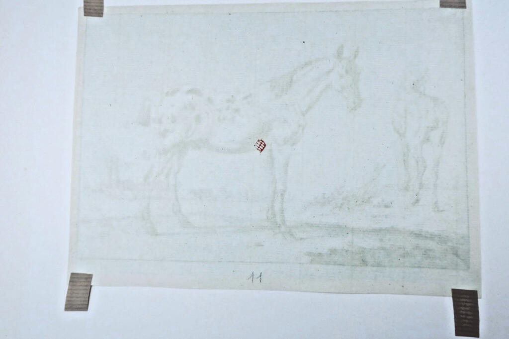 Gravures originales de chevaux sur cuivre XV et XVII par Paulus Potter, Brescia