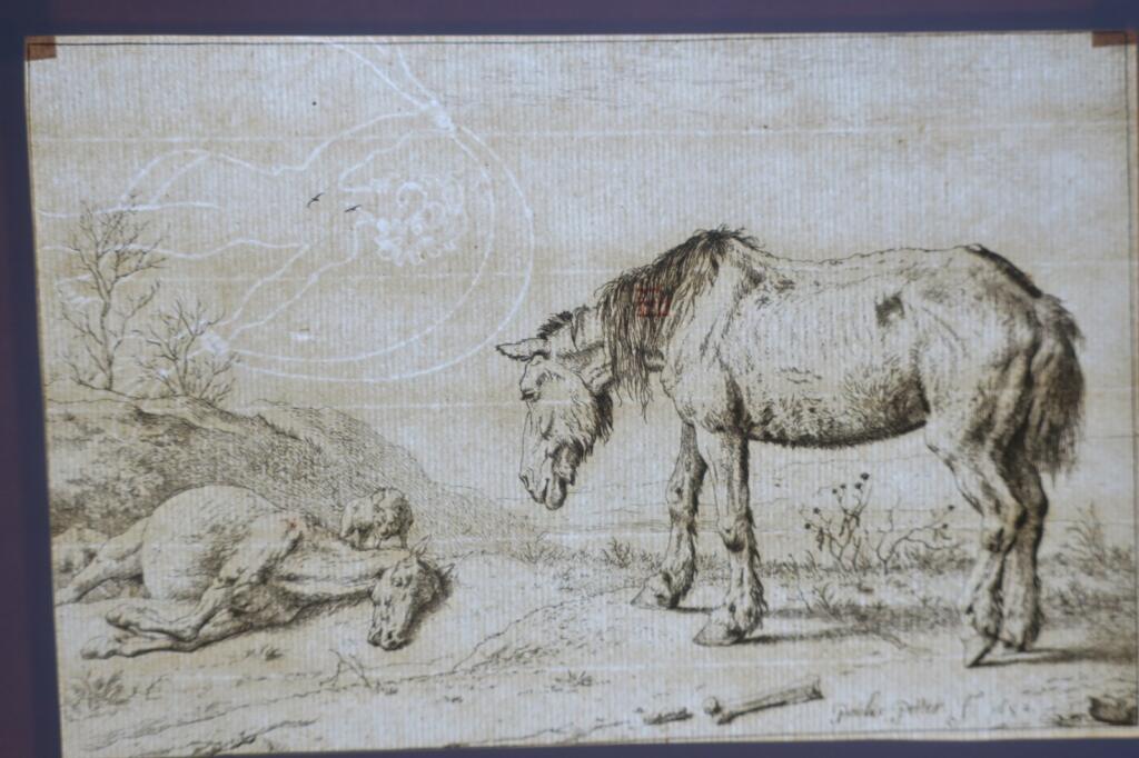 Cheval gravures originales sur cuivre XVè & XVIIè Paülus Potter, Brescia