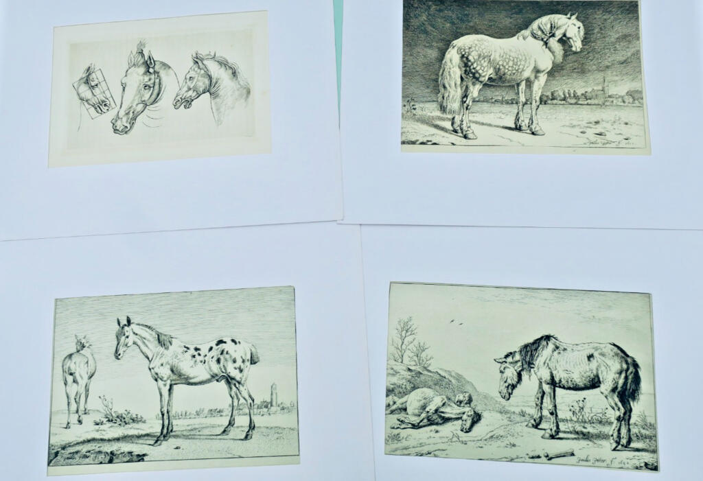 Gravures originales de chevaux sur cuivre XV et XVII par Paulus Potter, Brescia