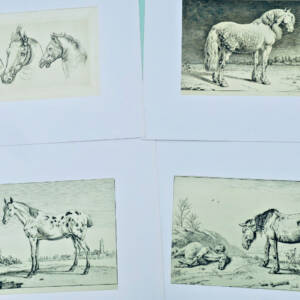 Cheval gravures originales sur cuivre XVè & XVIIè Paülus Potter, Brescia