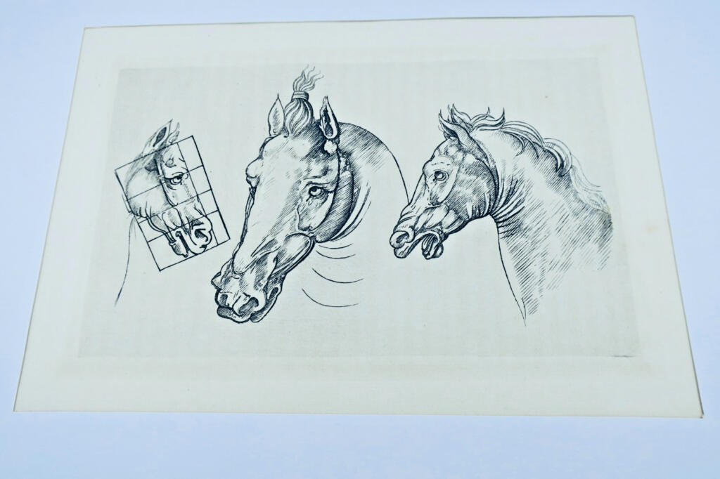 Gravures originales de chevaux sur cuivre XV et XVII par Paulus Potter, Brescia