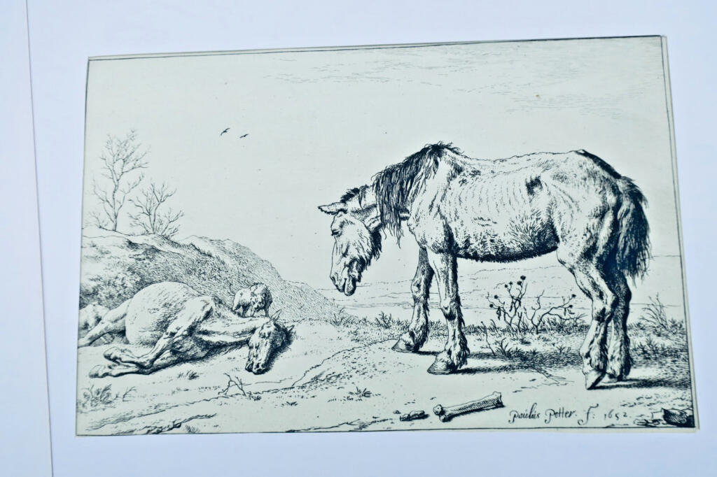 Gravures originales de chevaux sur cuivre XV et XVII par Paulus Potter, Brescia