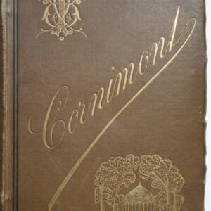 CHICHINETTE my chicken eat par Pégé de Céhel 1882