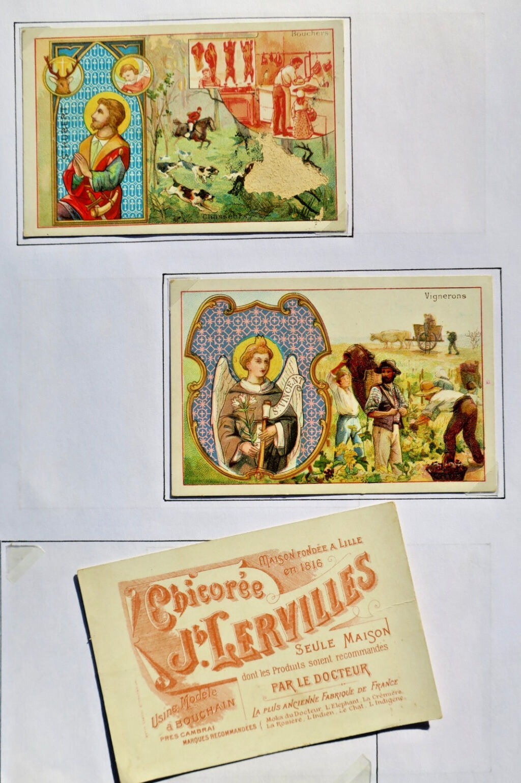 Chicorée Lerville métiers Sainte
