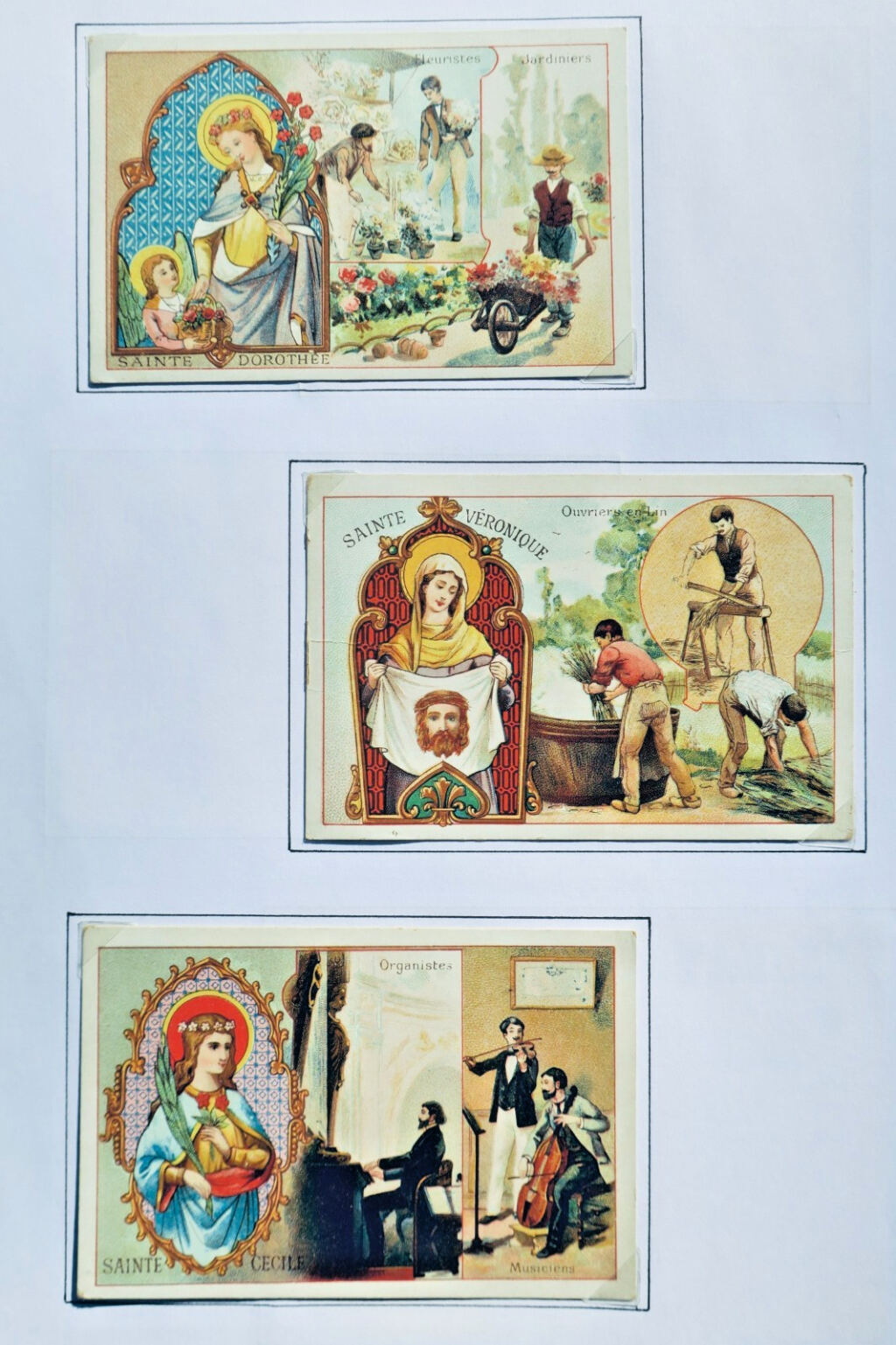 Chicorée Lerville métiers Sainte
