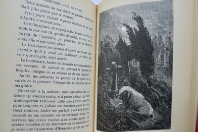Pudels Leben: Erinnerungen eines Hundes