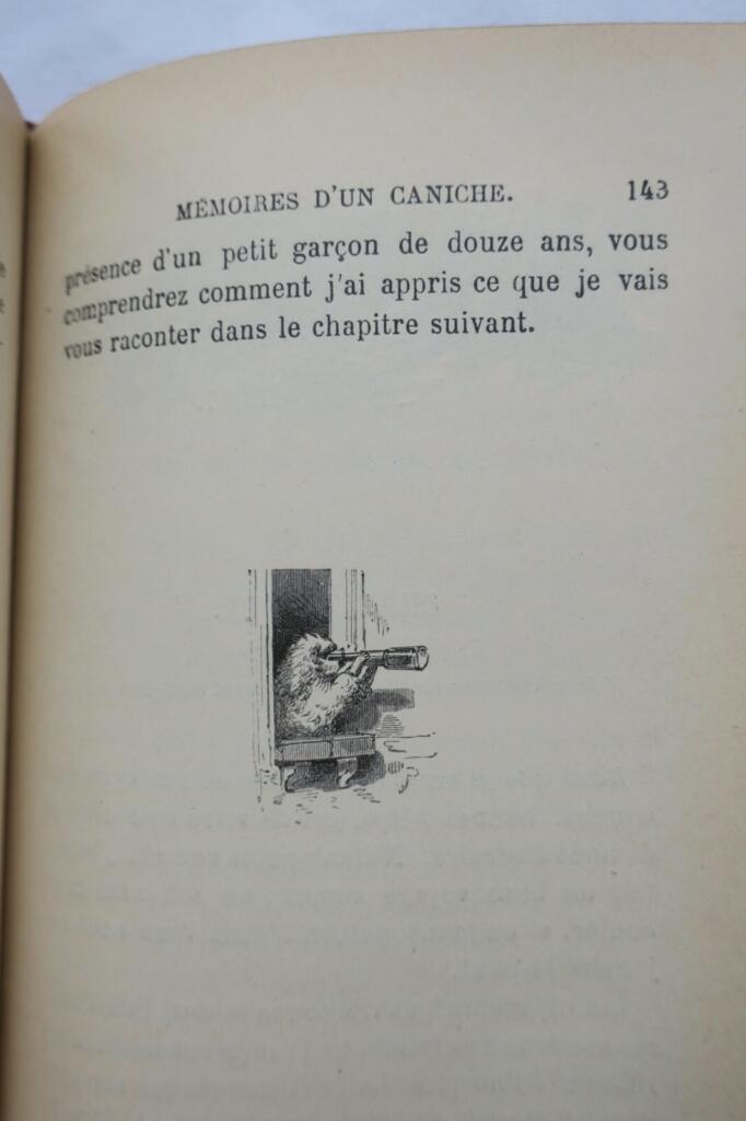 chien Mlle Julie Gouraud Memoires d&rsquo;un caniche illustré par Bayard