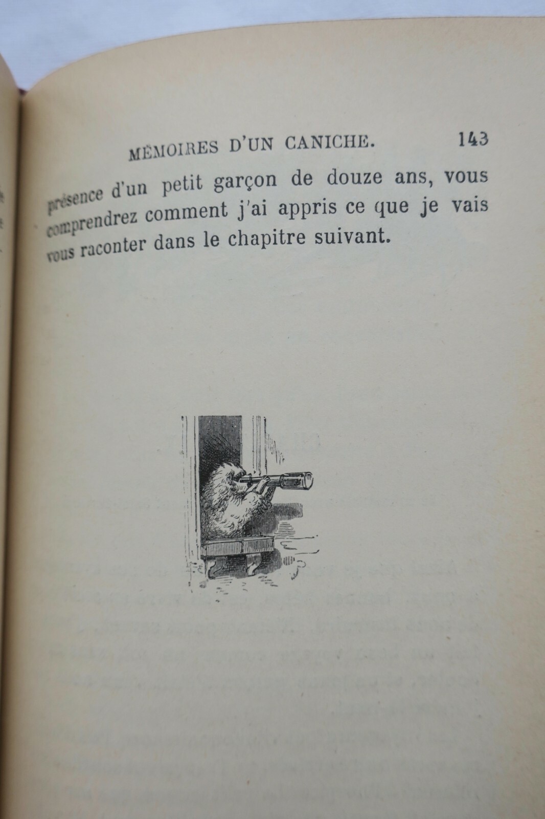 chien Mlle Julie Gouraud Memoires d’un caniche illustré par Bayard - La Librairie Antique