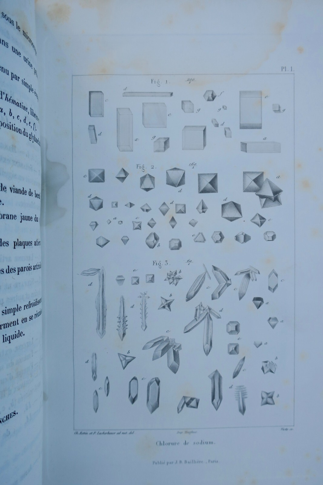 Anatomische und physiologische Chemie - Image 6