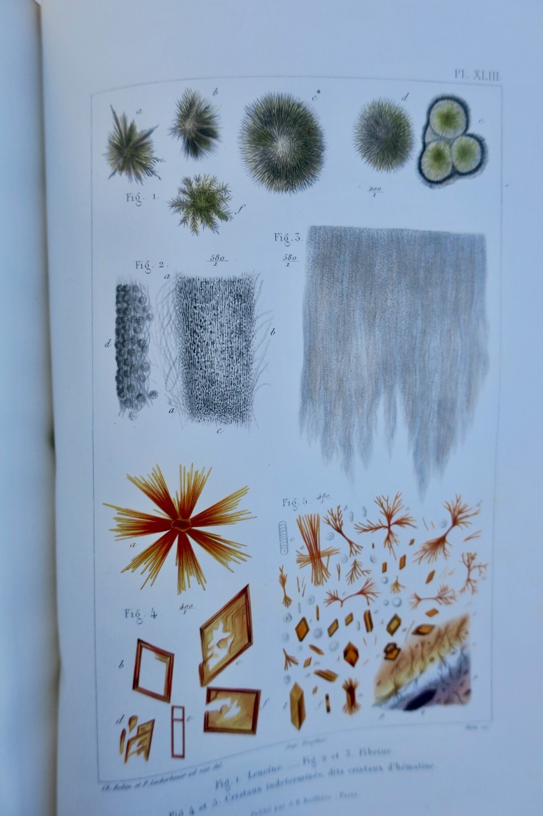 Anatomische und physiologische Chemie - Image 9