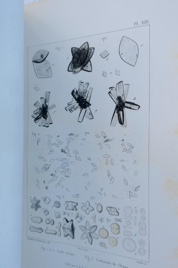 Anatomical and physiological chemistry of human and mammalian bodies