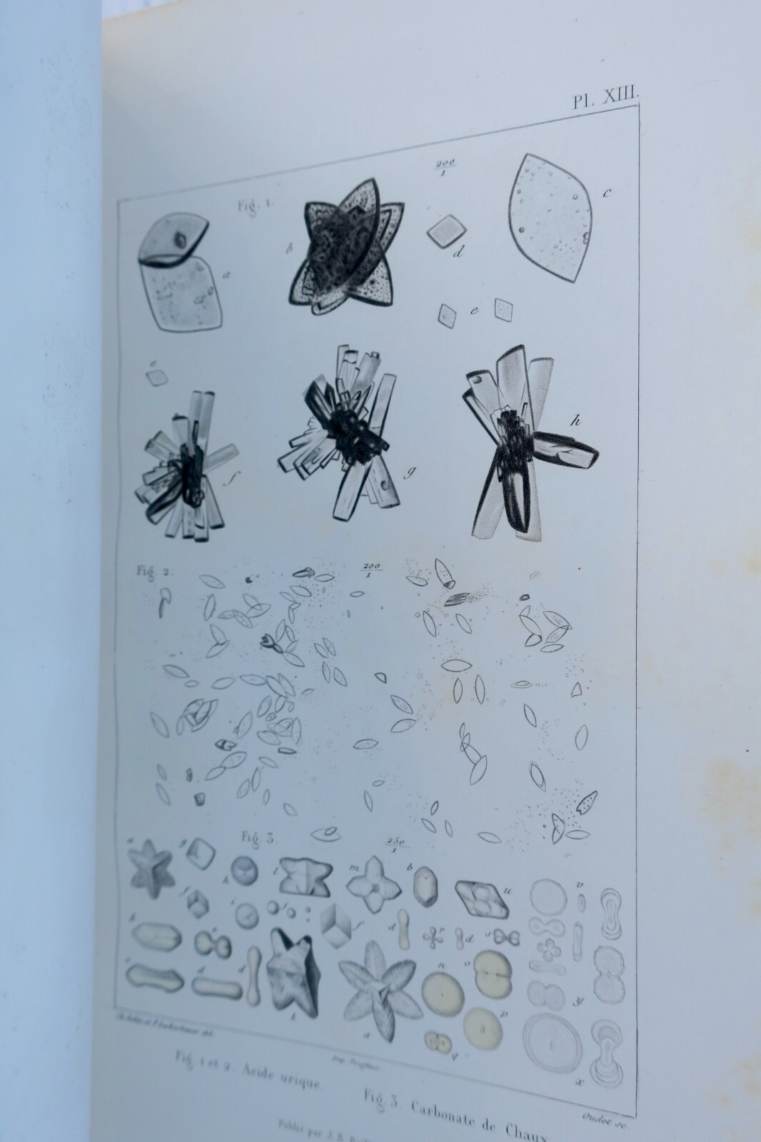 Anatomische und physiologische Chemie - Image 4