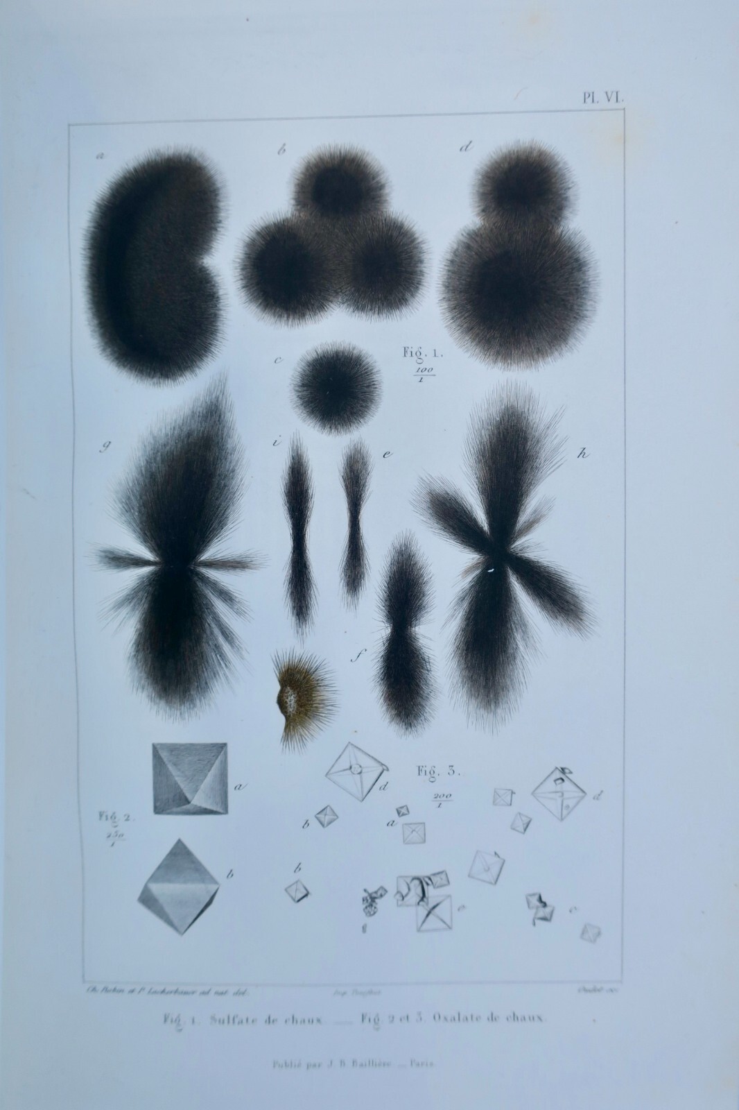Anatomische und physiologische Chemie - Image 5