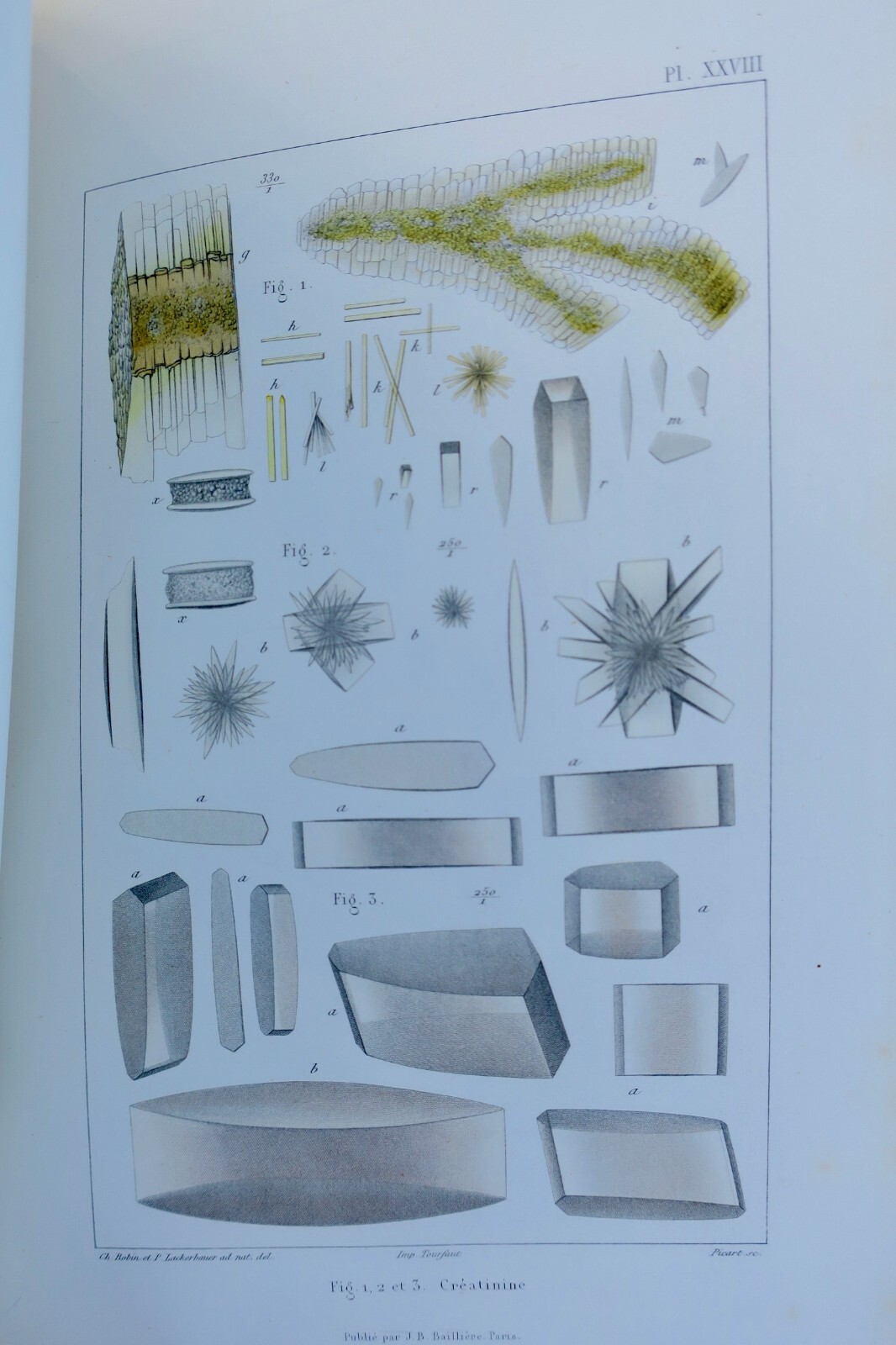 Anatomische und physiologische Chemie<span class="lla-card-orig-wrap"><span class="lla-card-orig">❦ chimie Traité de chimie anatomique et physiologique normale 1853</span></span> - La Librairie Antique