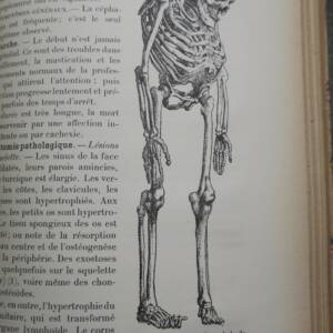 chirurgie Traité de Chirurgie clinique et opératoire 1896