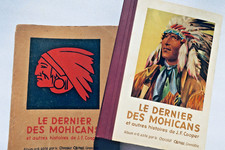 Der letzte Mohikaner und andere Geschichten - Image 8