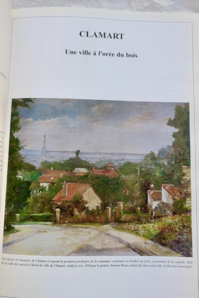 Eine Stadt am Waldrand