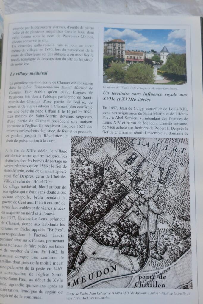 Eine Stadt am Waldrand