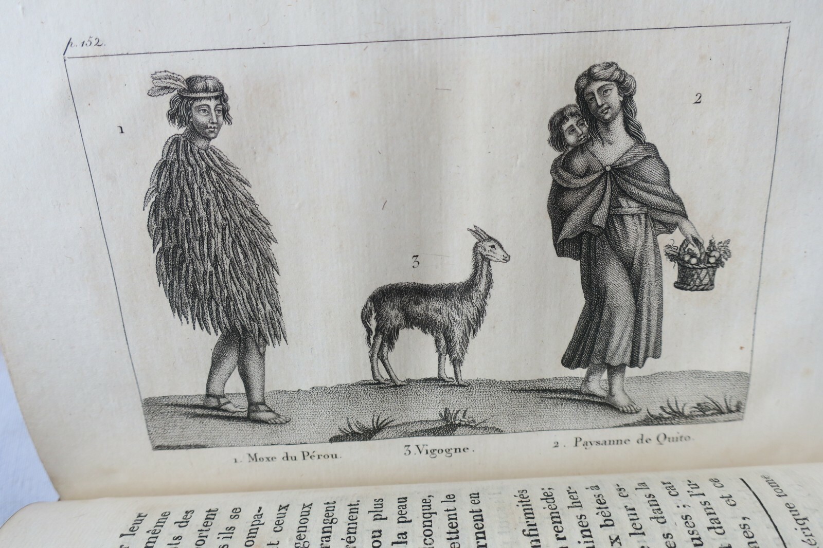 Collection abrégée des Voyages Anciens et Modernes autour du Monde 1808 – Image 9