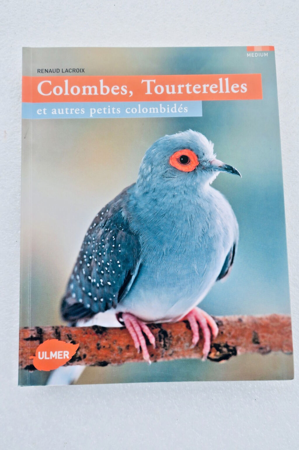 Doves and small dove species care guide