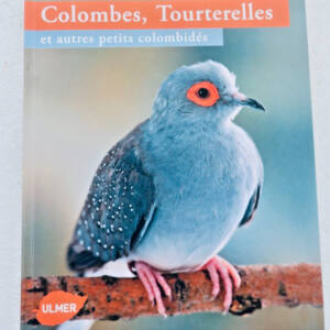 Colombes, Tourtelles et autres petits colombidés