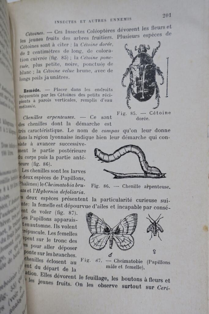 Schutz von Obstgärten und Gärten