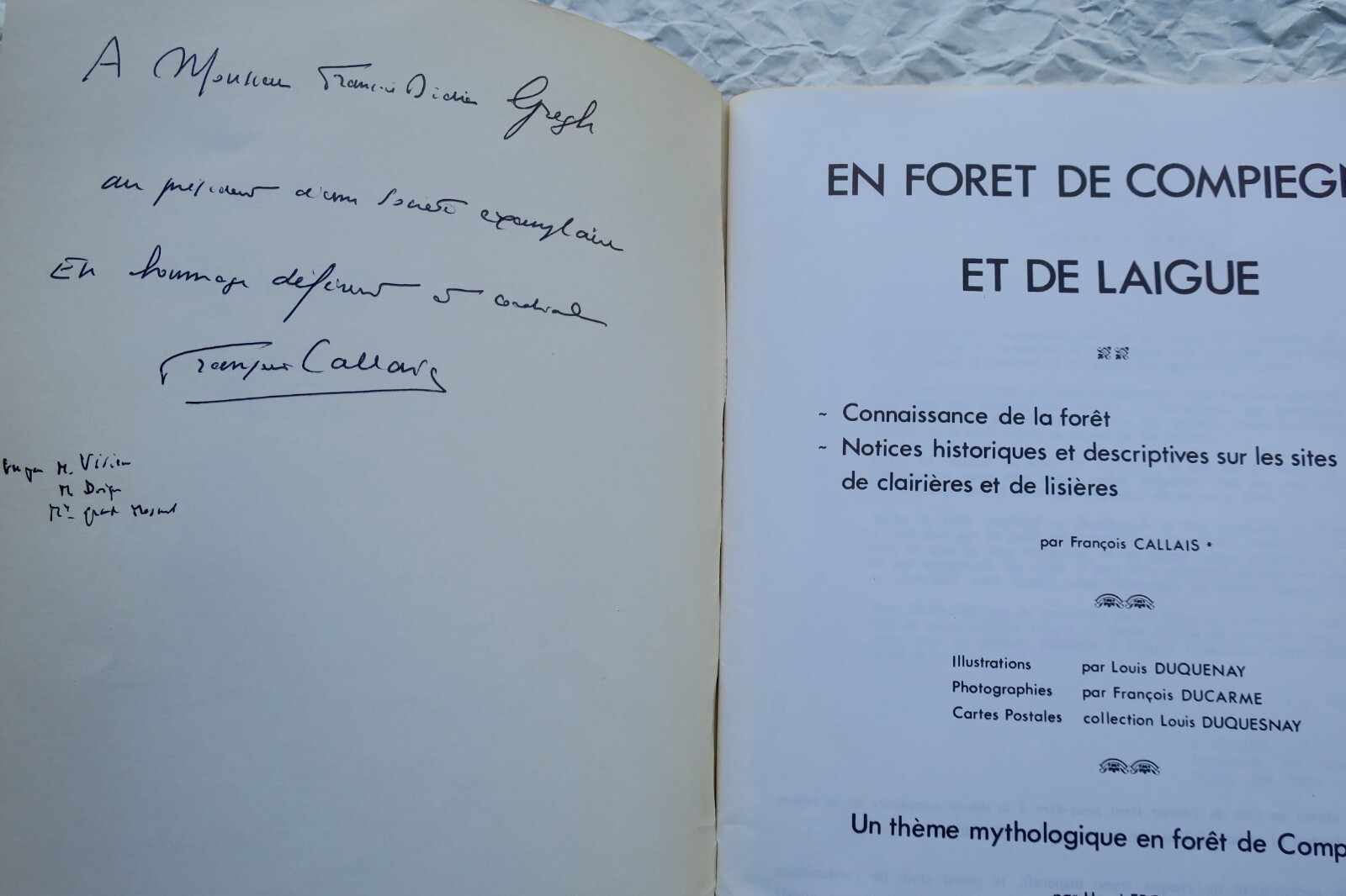 Erforschung des Compiègne-Waldes - Image 7