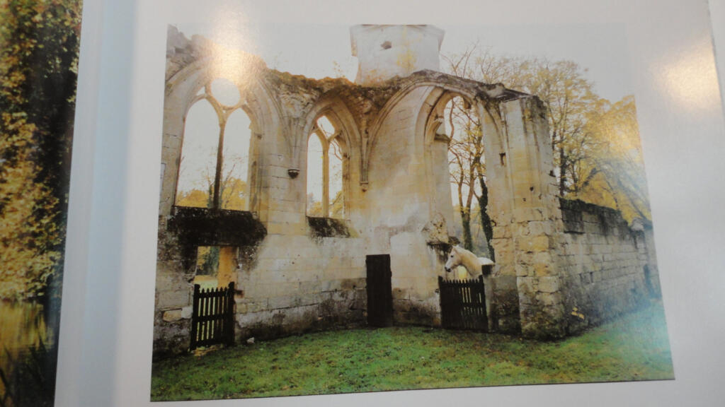 Erkundung des Waldes von Compiègne