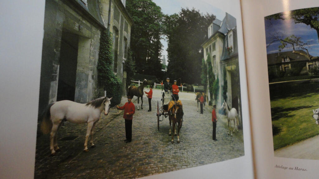 Erkundung des Waldes von Compiègne