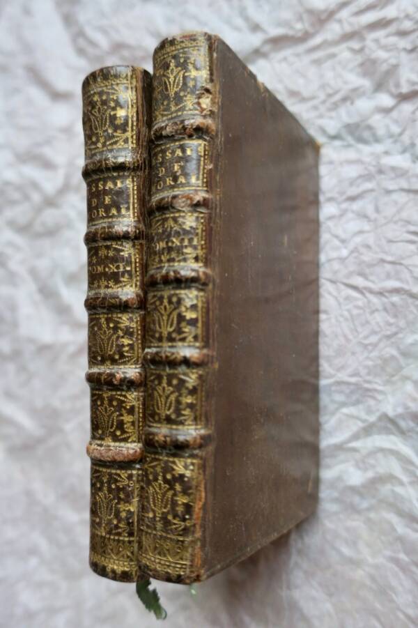 Moral Essays: Reflections on Scripture