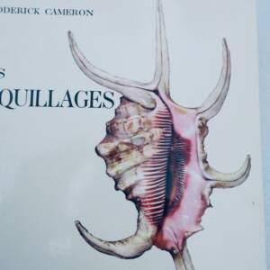 COQUILLAGES 1964