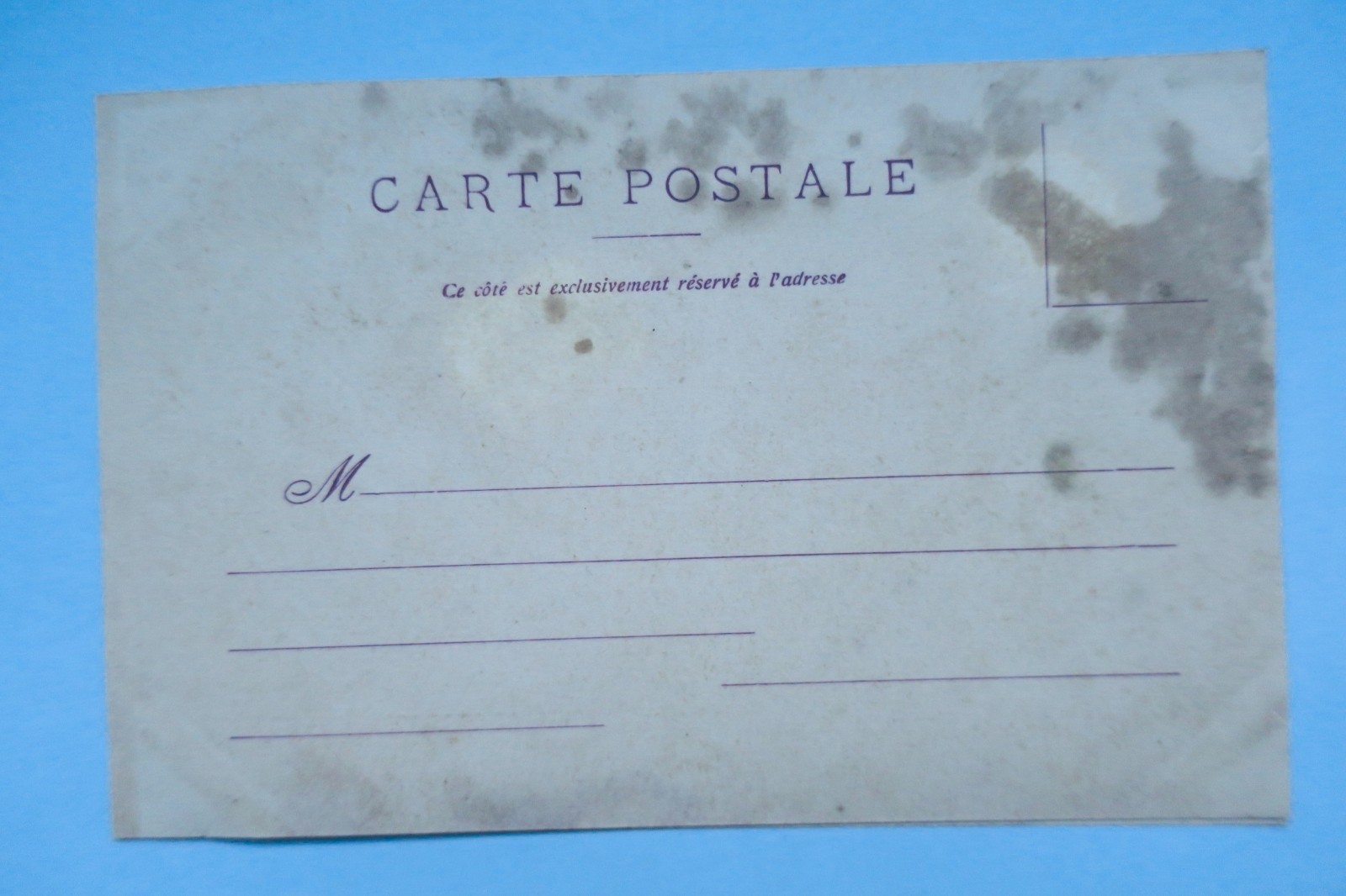 Corse berger corse - La Librairie Antique