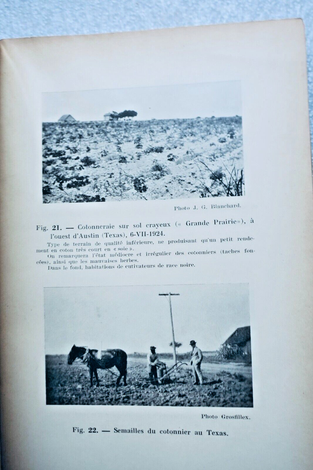 Cotton: Global Production and Distribution – Image 6