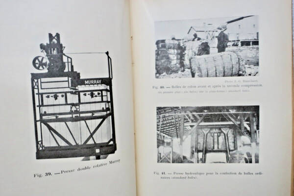Cotton: Global Production and Distribution