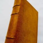 Coup d'Agadir - Origines et développement de la crise de 1911