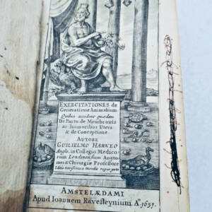 création Harvey 1651 Exercitationes de Generatione Animalium