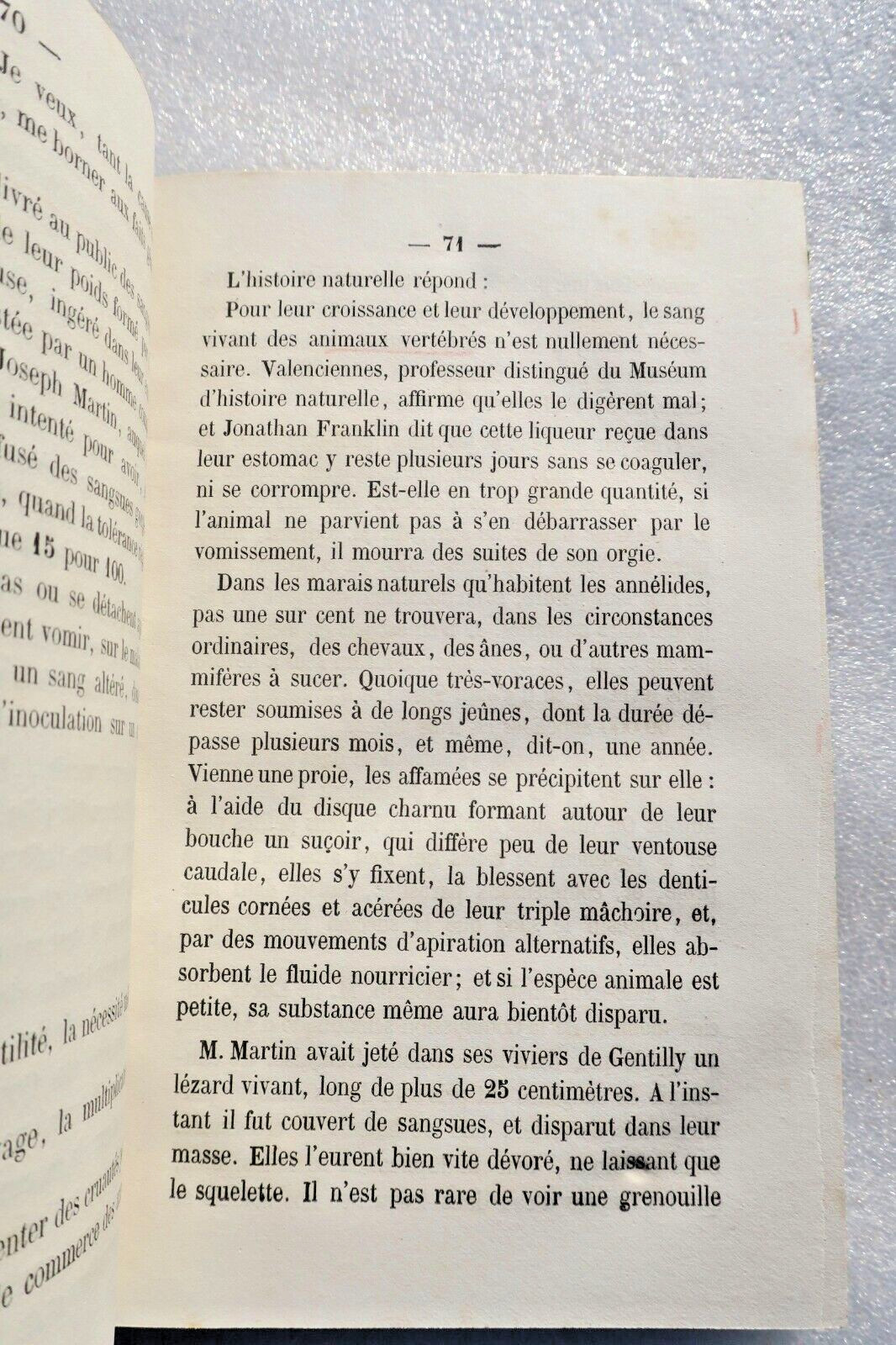 Tierquälerei und öffentliche Gesundheit - Image 7
