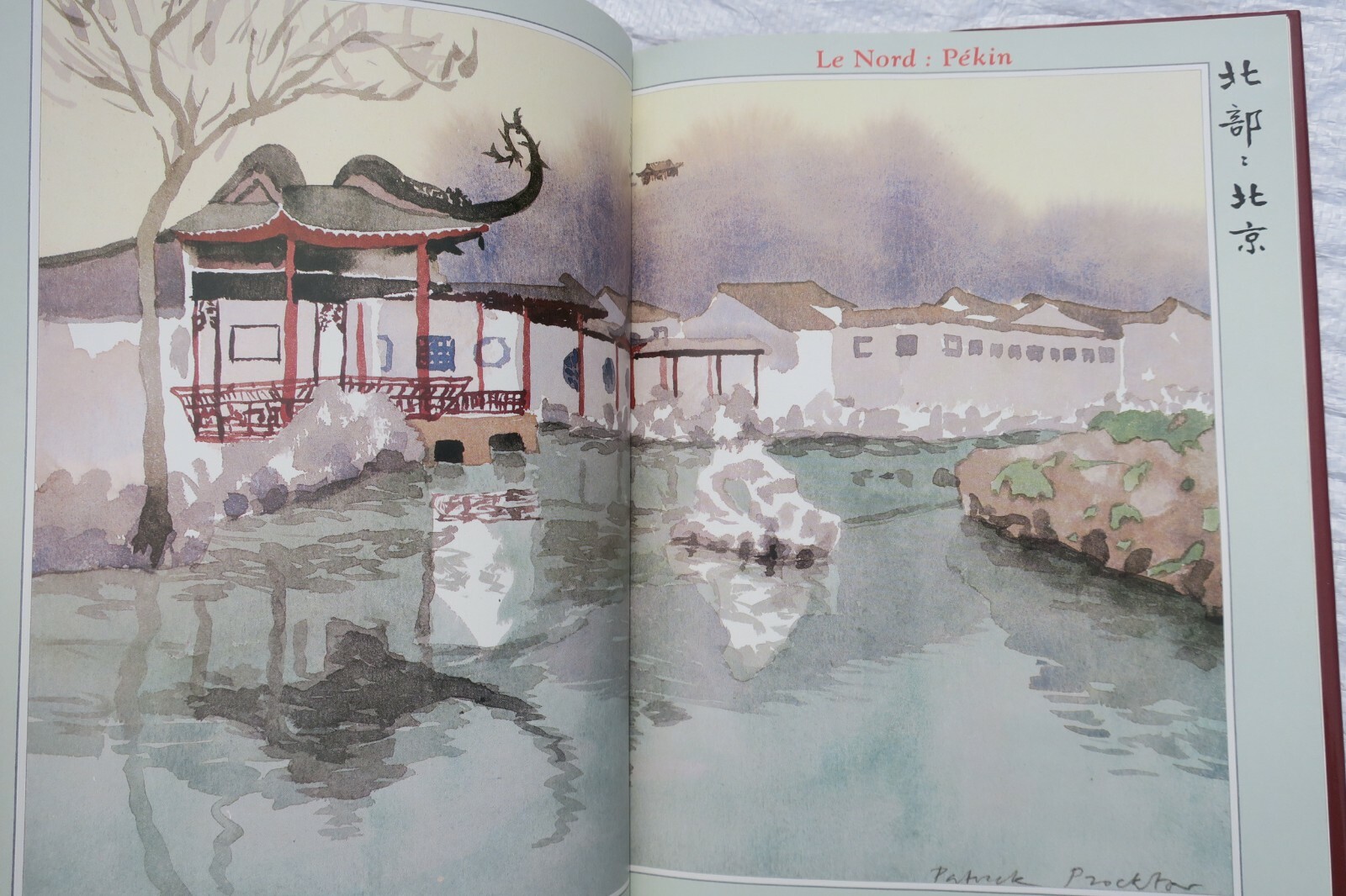 Culinary Exploration of Chinese Provinces - Image 9