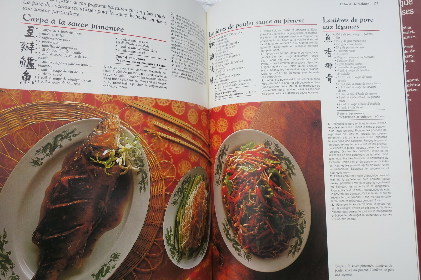 Culinary Exploration of Chinese Provinces - Image 10