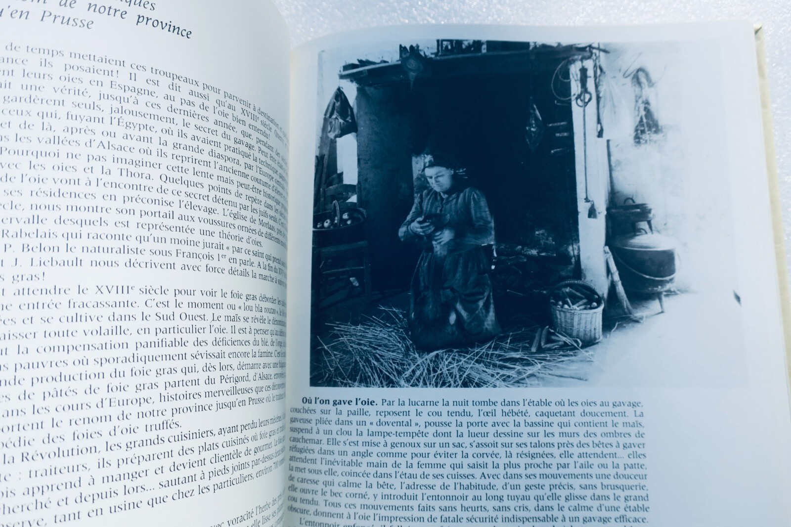 Geheimnisse der ländlichen Küche - Image 6